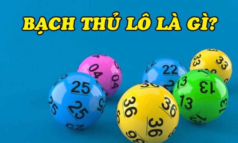 Bạch thủ lô là gì?